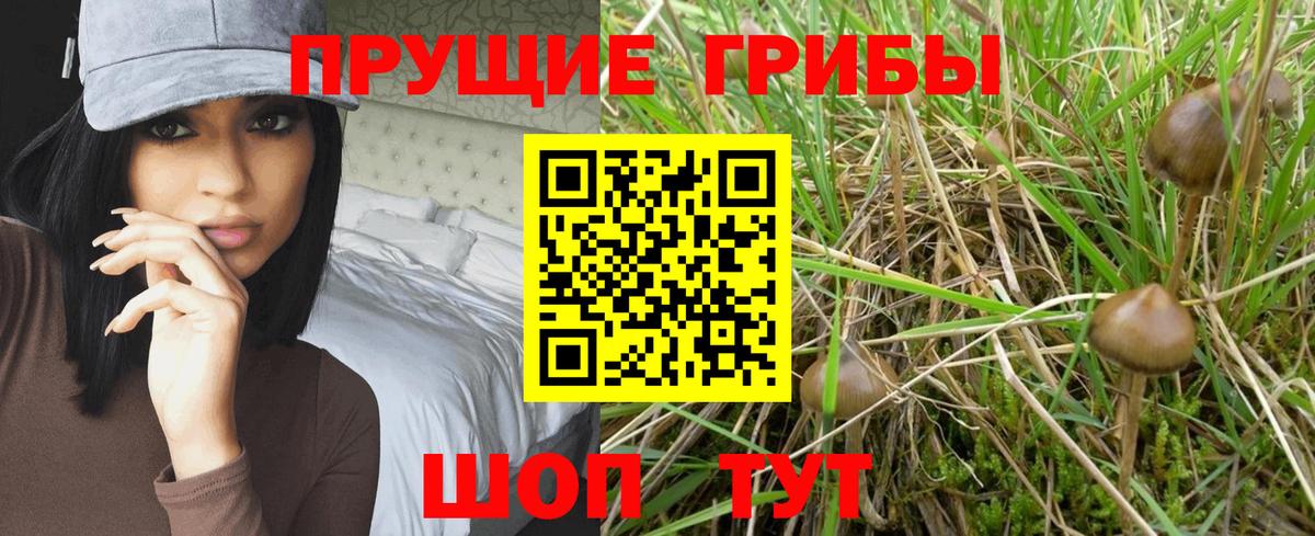Междуреченск  Галлюциногенные грибы MAGIC MUSHROOMS  Вход с VPN 
